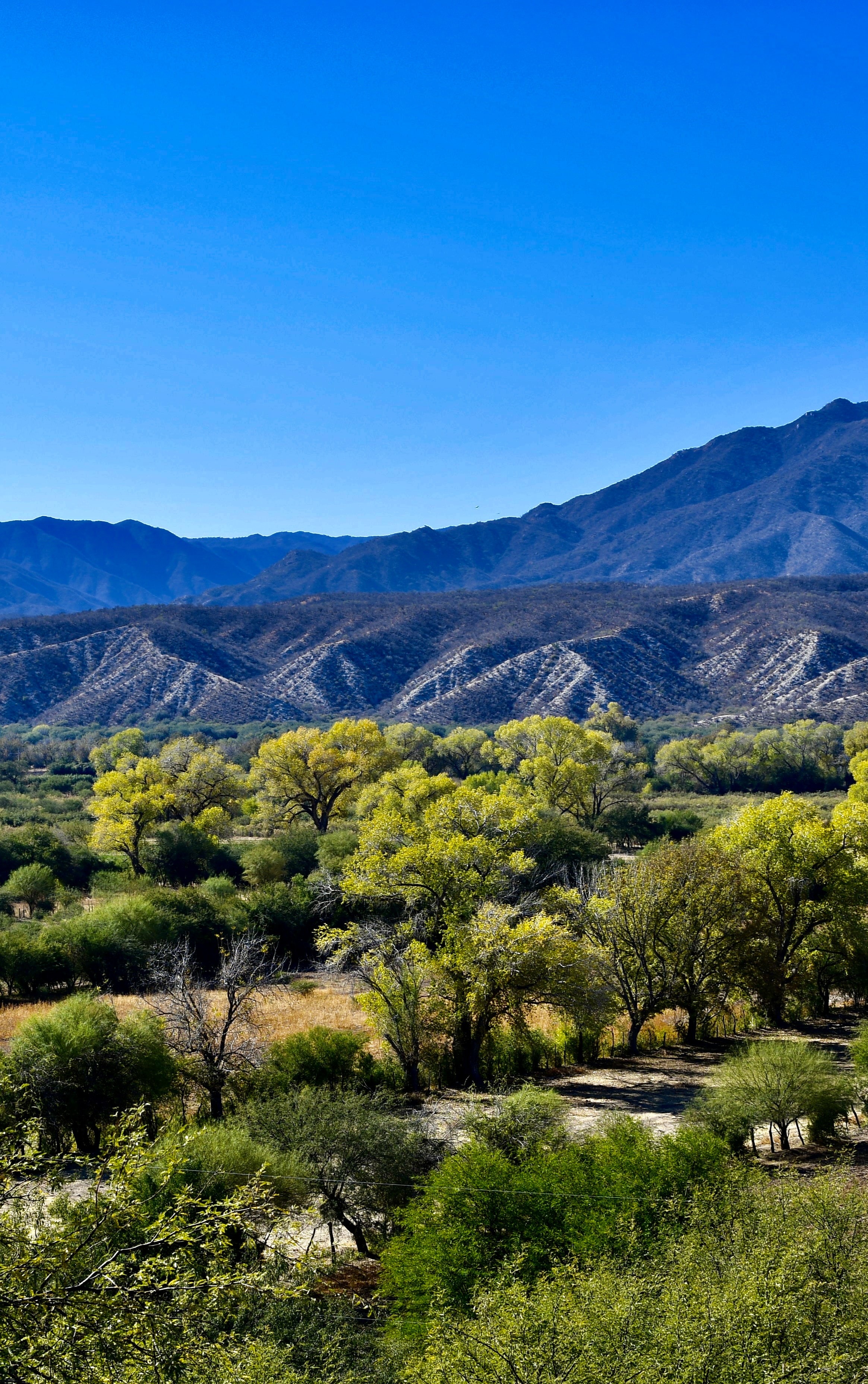 Panorámica de la Sierra Madre Occidental con nubes flotando entre las montañas